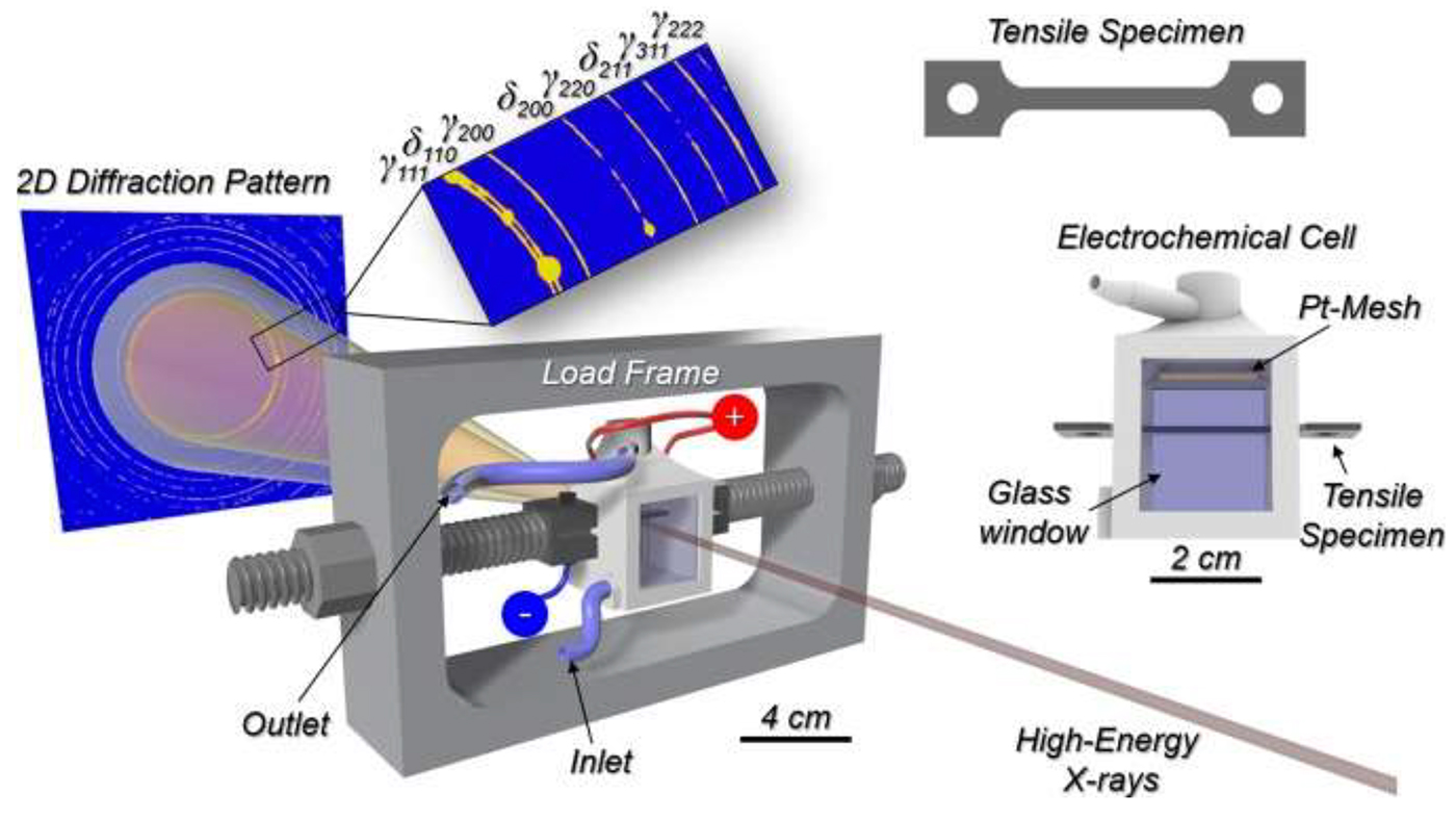 Schematic of the sample holder and experimental setup